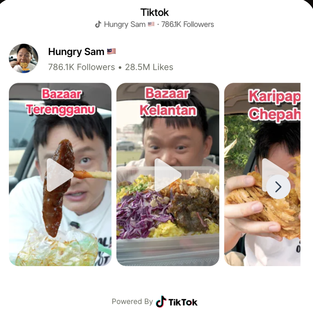 Screenshot of Hungry Sam’s TikTok profile showing 786K followers and 28.5 million likes, Malaysian food influencer known for bazaar and street food reviews.